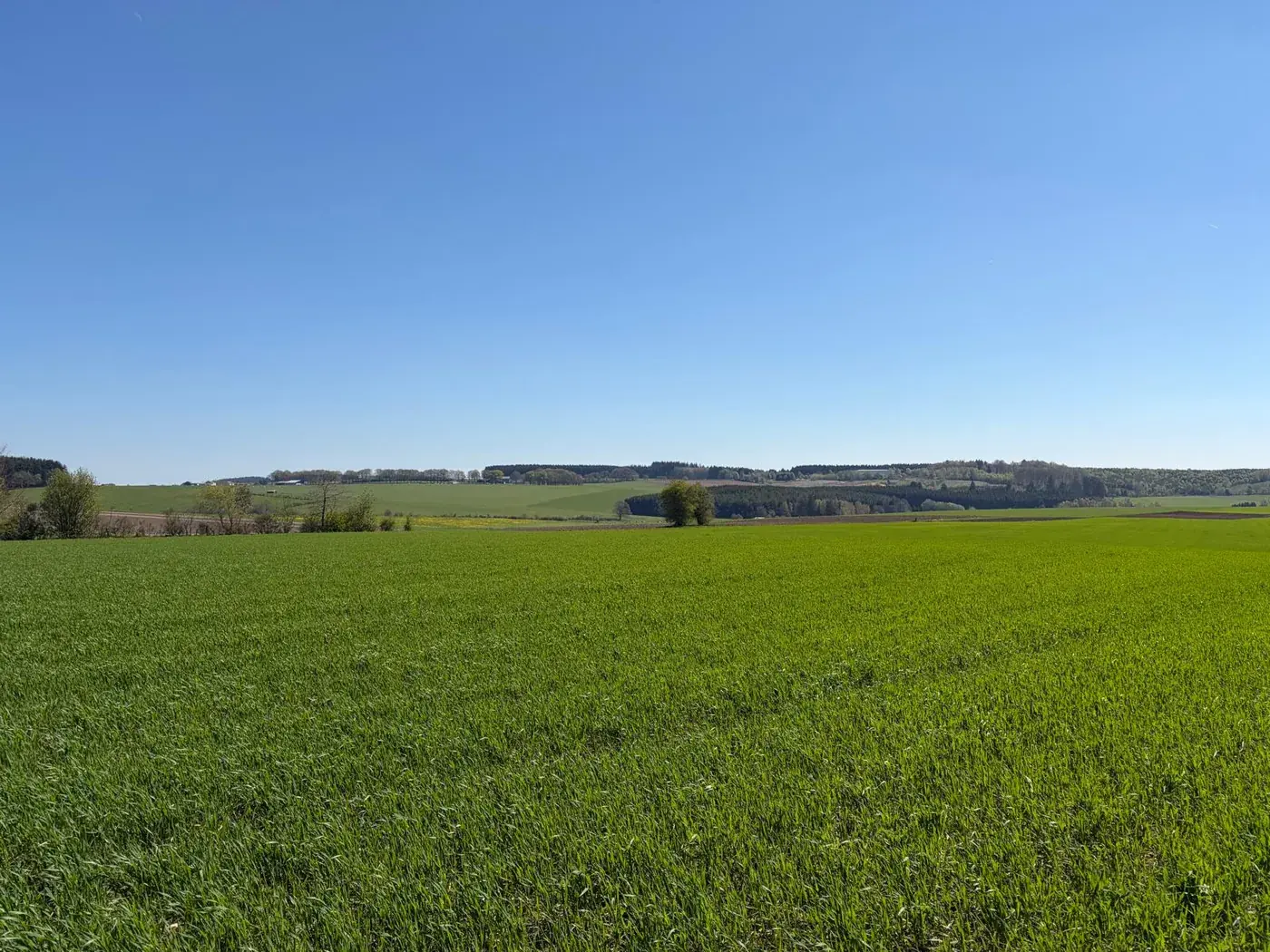 Paysage rural — zone d'intervention Aquawil en Province de Luxembourg et de Liège